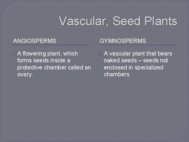 Vascular, Seed Plants ANGIOSPERMS � A flowering plant, which forms seeds inside a protective