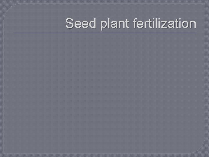 Seed plant fertilization 