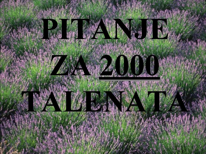 PITANJE ZA 2000 TALENATA 
