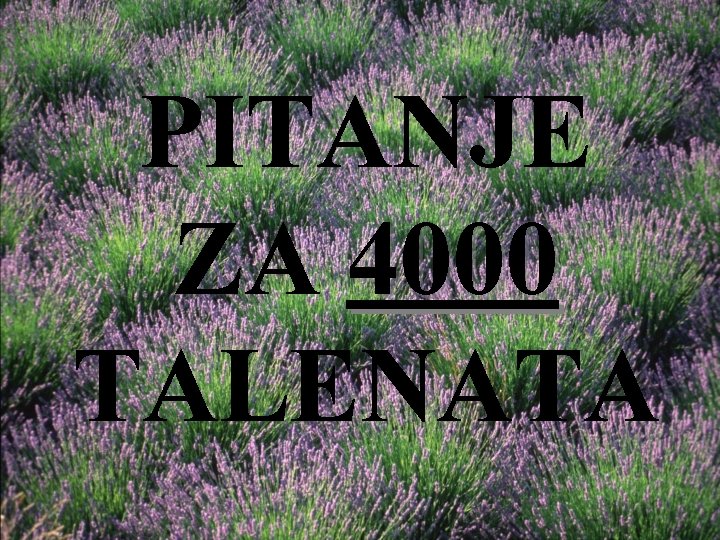 PITANJE ZA 4000 TALENATA 