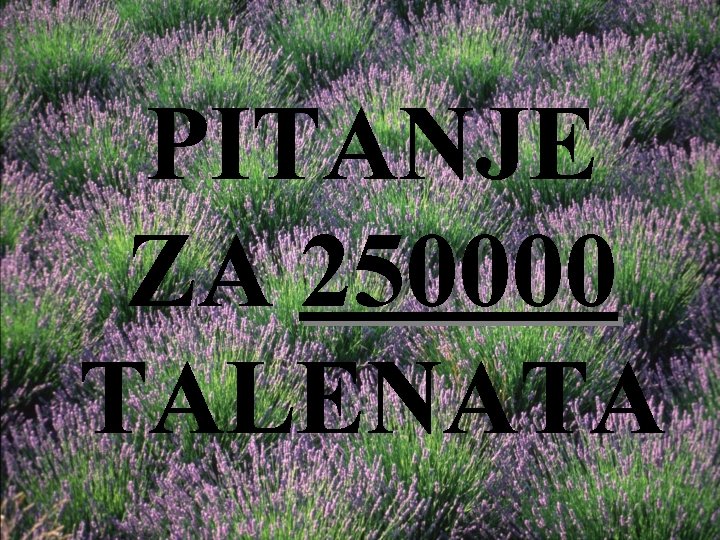 PITANJE ZA 250000 TALENATA 