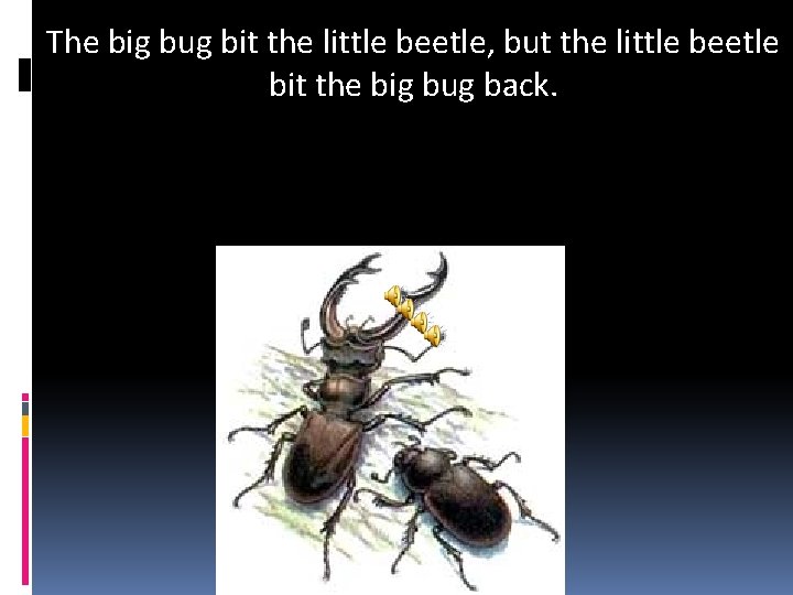 The big bug bit the little beetle, but the little beetle bit the big