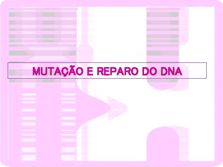 MUTAÇÃO E REPARO DO DNA 