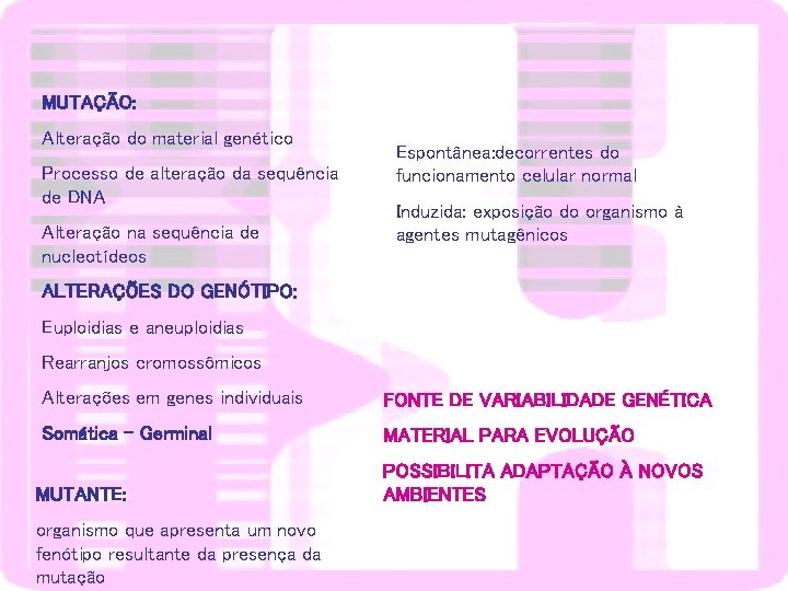 MUTAÇÃO: Alteração do material genético Processo de alteração da sequência de DNA Alteração na