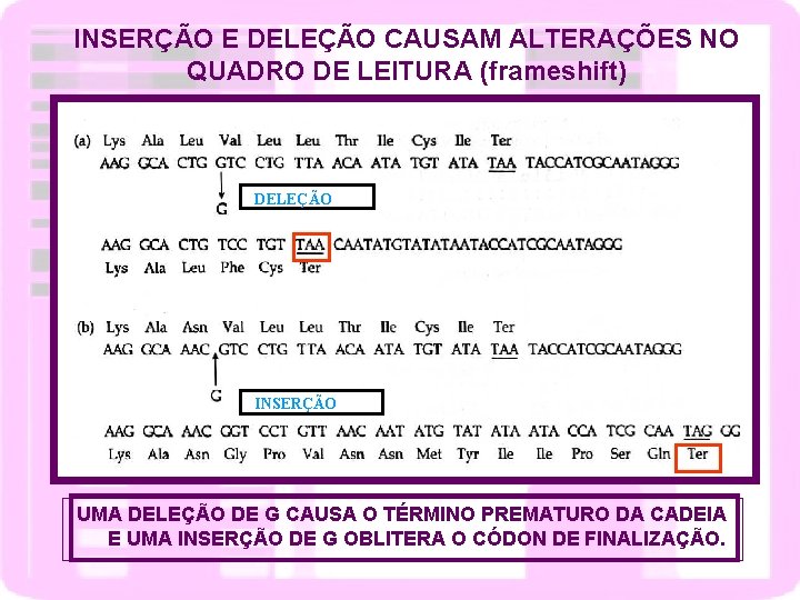 INSERÇÃO E DELEÇÃO CAUSAM ALTERAÇÕES NO QUADRO DE LEITURA (frameshift) DELEÇÃO INSERÇÃO UMA DELEÇÃO