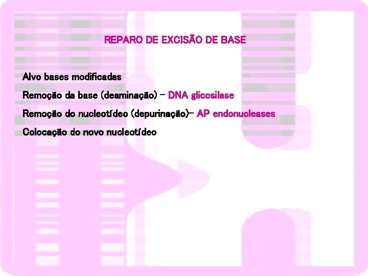REPARO DE EXCISÃO DE BASE Alvo bases modificadas Remoção da base (deaminação) – DNA