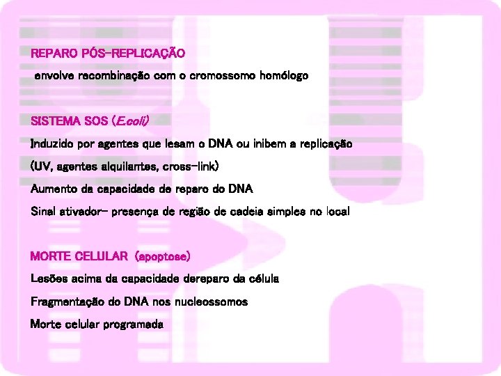 REPARO PÓS-REPLICAÇÃO envolve recombinação com o cromossomo homólogo SISTEMA SOS (E. coli) Induzido por
