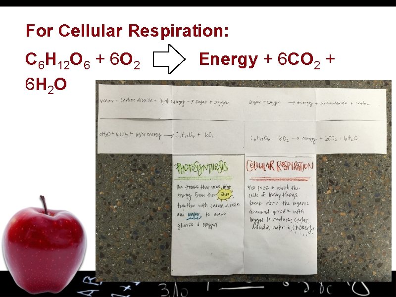 For Cellular Respiration: C 6 H 12 O 6 + 6 O 2 Energy