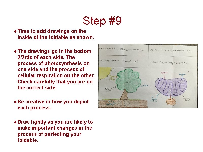 Step #9 ● Time to add drawings on the inside of the foldable as