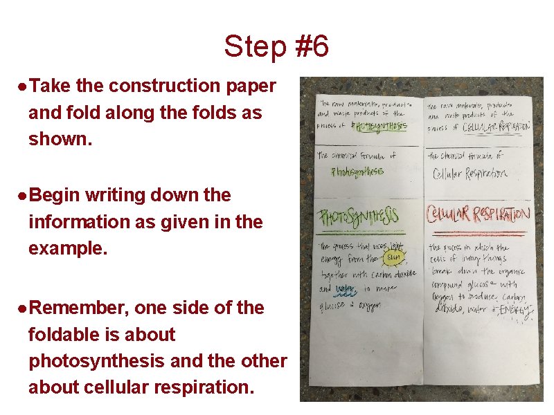 Step #6 ● Take the construction paper and fold along the folds as shown.