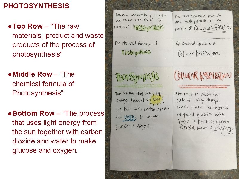PHOTOSYNTHESIS ● Top Row – "The raw materials, product and waste products of the