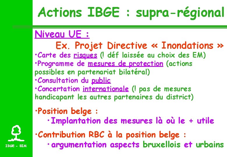 Actions IBGE : supra-régional Niveau UE : Ex. Projet Directive « Inondations » •