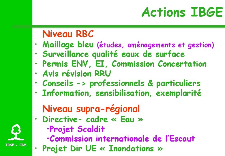 Actions IBGE • • • Niveau RBC Maillage bleu (études, aménagements et gestion) Surveillance