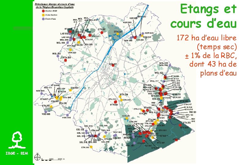 Etangs et cours d’eau 172 ha d’eau libre (temps sec) ± 1% de la