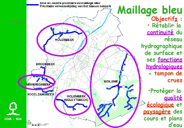 Maillage bleu Objectifs : • Rétablir la continuité du réseau hydrographique de surface et