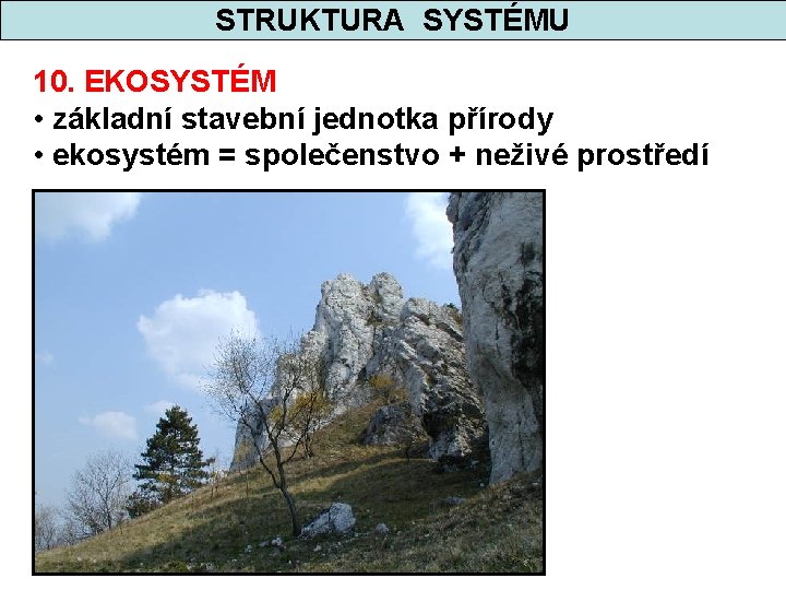 STRUKTURA SYSTÉMU 10. EKOSYSTÉM • základní stavební jednotka přírody • ekosystém = společenstvo +