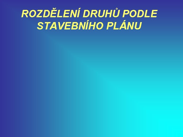 ROZDĚLENÍ DRUHŮ PODLE STAVEBNÍHO PLÁNU 