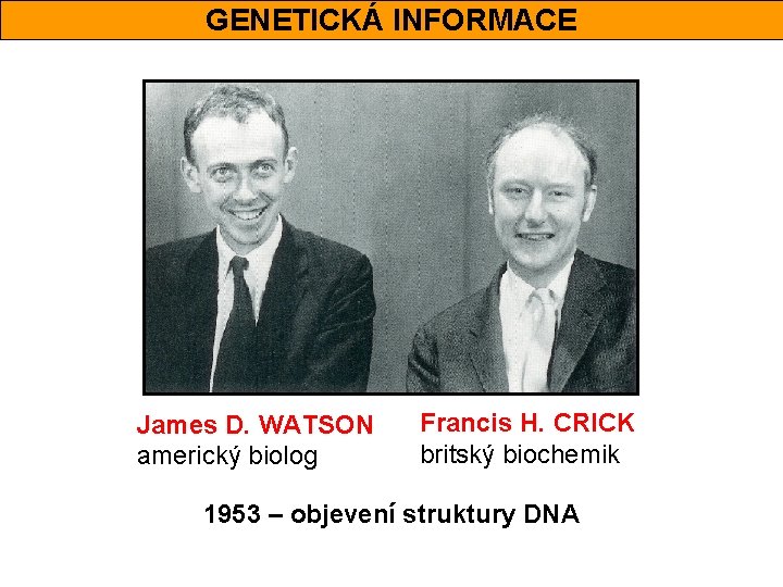 GENETICKÁ INFORMACE James D. WATSON americký biolog Francis H. CRICK britský biochemik 1953 –