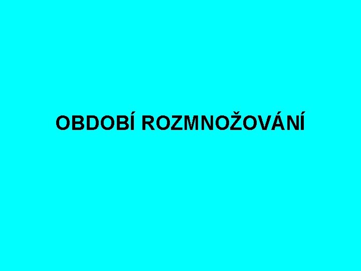 OBDOBÍ ROZMNOŽOVÁNÍ 