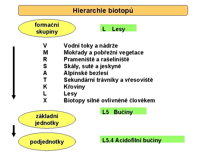  Hierarchie biotopů formační skupiny V M R S A T K L X