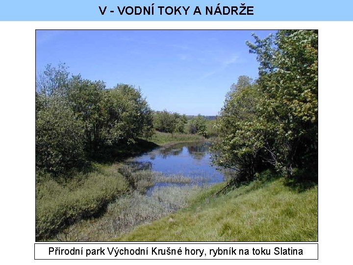 V - VODNÍ TOKY A NÁDRŽE Přírodní park Východní Krušné hory, rybník na toku