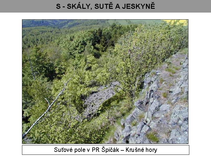 S - SKÁLY, SUTĚ A JESKYNĚ Suťové pole v PR Špičák – Krušné hory