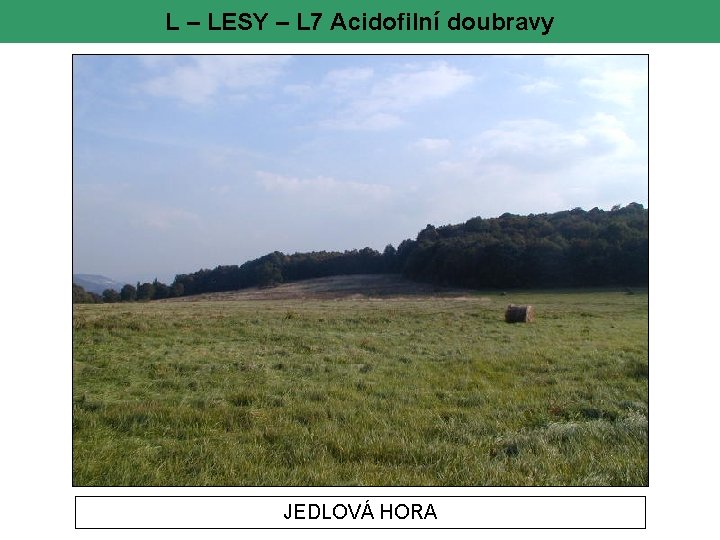 L – LESY – L 7 Acidofilní doubravy JEDLOVÁ HORA 