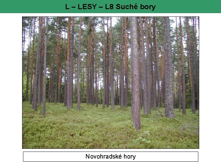 L – LESY – L 8 Suché bory Novohradské hory 