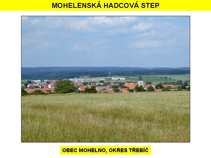 MOHELENSKÁ HADCOVÁ STEP OBEC MOHELNO, OKRES TŘEBÍČ 