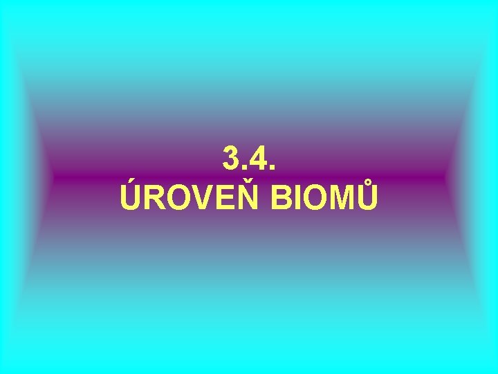 3. 4. ÚROVEŇ BIOMŮ 