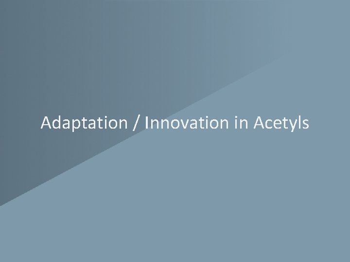 Adaptation / Innovation in Acetyls 