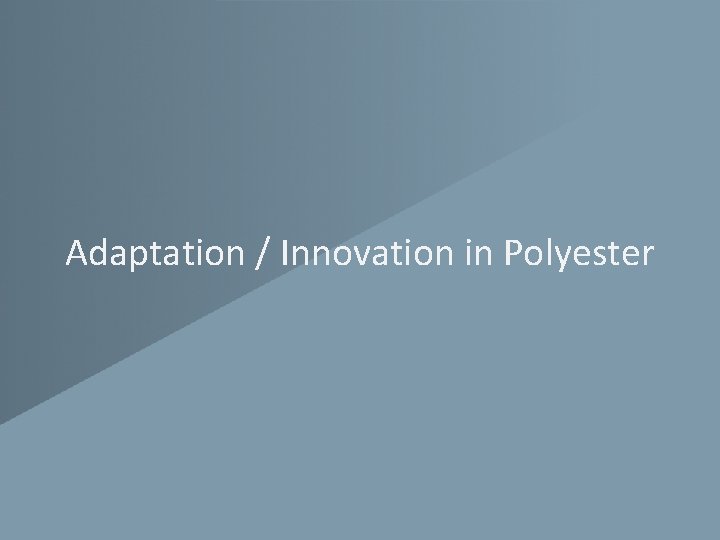 Adaptation / Innovation in Polyester 