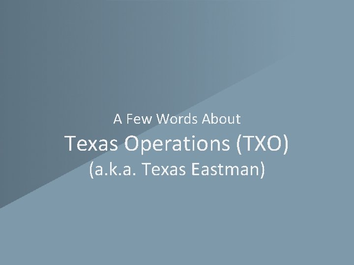 A Few Words About Texas Operations (TXO) (a. k. a. Texas Eastman) 