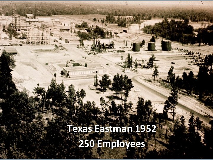 Texas Eastman 1952 250 Employees 