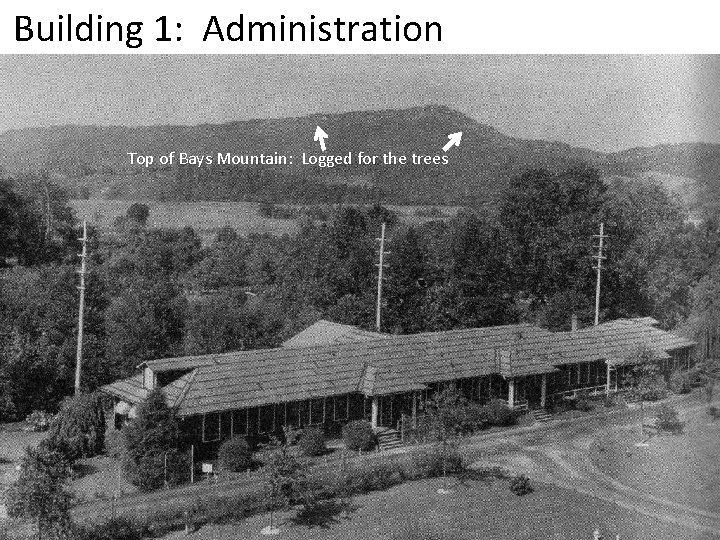 Building 1: Administration Top of Bays Mountain: Logged for the trees 