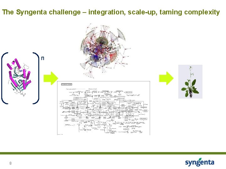 The Syngenta challenge – integration, scale-up, taming complexity n 8 