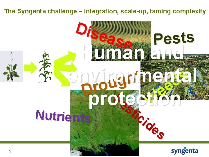 The Syngenta challenge – integration, scale-up, taming complexity Dise ase Pests Human and t The Syngenta challenge – integration, scale-up, taming complexity Dise ase Pests Human and t