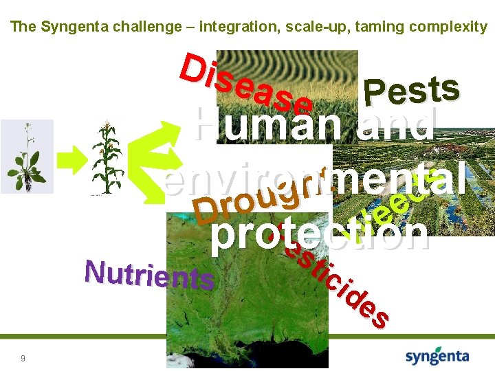 The Syngenta challenge – integration, scale-up, taming complexity Dise ase Pests Human and t