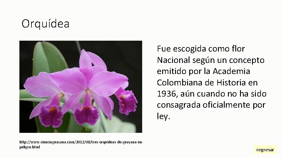 Orquídea Fue escogida como flor Nacional según un concepto emitido por la Academia Colombiana