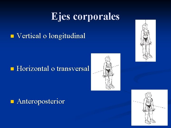 Ejes corporales n Vertical o longitudinal n Horizontal o transversal n Anteroposterior 