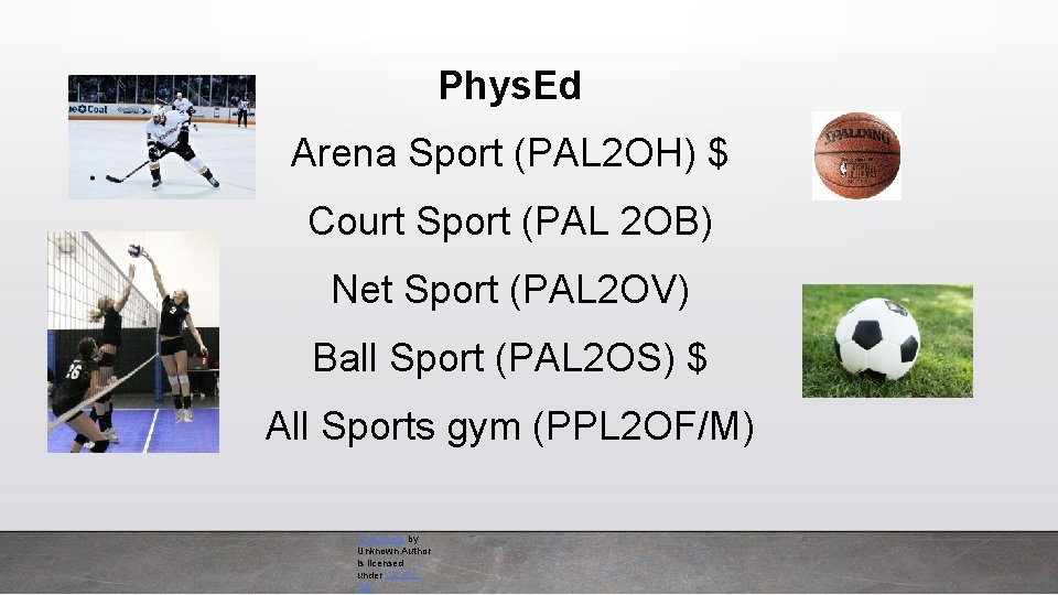 Phys. Ed Arena Sport (PAL 2 OH) $ Court Sport (PAL 2 OB) Net