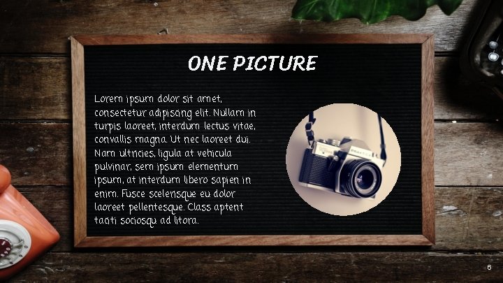 ONE PICTURE Lorem ipsum dolor sit amet, consectetur adipiscing elit. Nullam in turpis laoreet, ONE PICTURE Lorem ipsum dolor sit amet, consectetur adipiscing elit. Nullam in turpis laoreet,