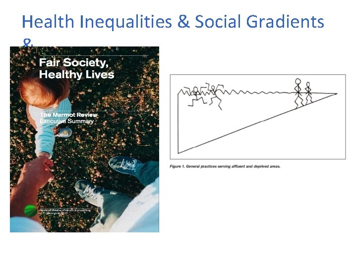 Health Inequalities & Social Gradients & 