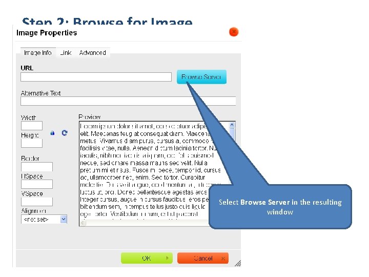 Step 2: Browse for Image Select Browse Server in the resulting window 