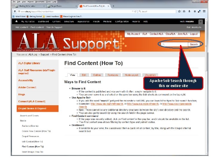 Apache Solr Search through this or entire site 