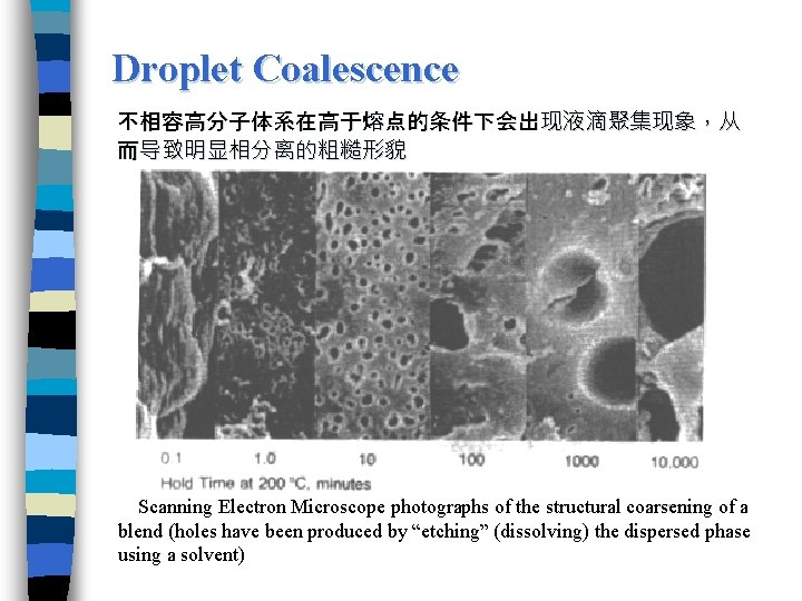 Droplet Coalescence 不相容高分子体系在高于熔点的条件下会出现液滴聚集现象，从 而导致明显相分离的粗糙形貌 Scanning Electron Microscope photographs of the structural coarsening of a