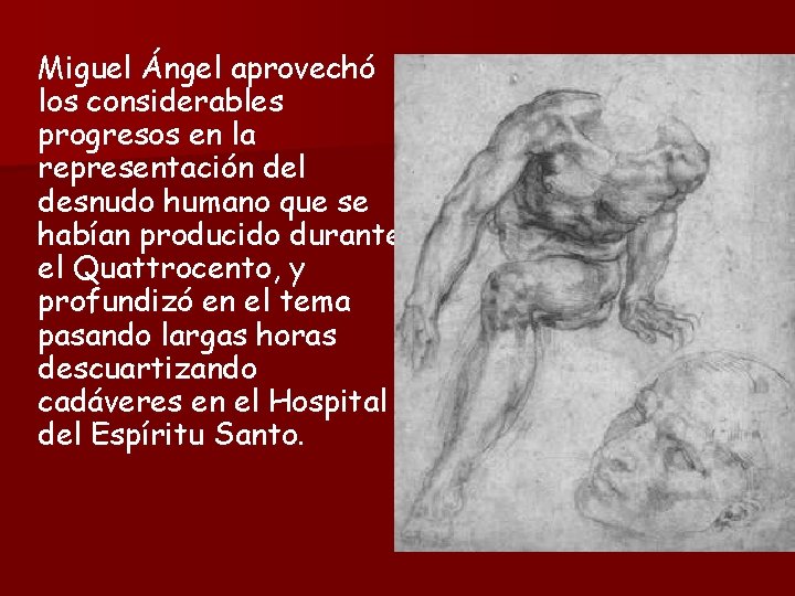 Miguel Ángel aprovechó los considerables progresos en la representación del desnudo humano que se