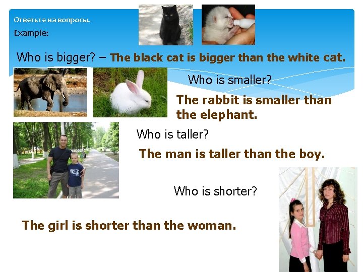 Ответьте на вопросы. Example: Who is bigger? – The black cat is bigger than