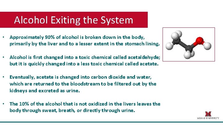 Alcohol Exiting the System • Approximately 90% of alcohol is broken down in the