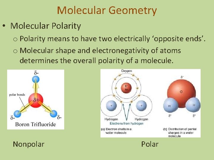 Molecular Geometry • Molecular Polarity o Polarity means to have two electrically ‘opposite ends’.